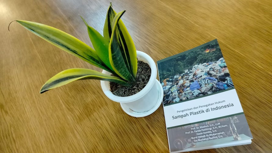 Bagaimana Tanaman Mendengarkan&nbsp;Kita?