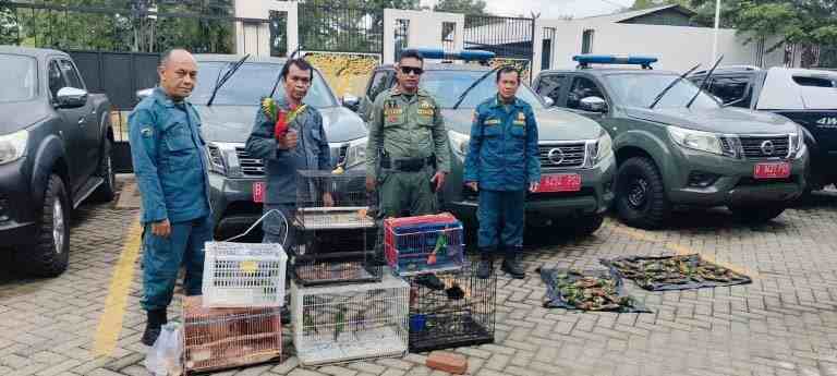 Cerita Baru Kasus Perdagangan Satwa Dilindungi Lintas Provinsi di Makassar, Siap Disidangkan