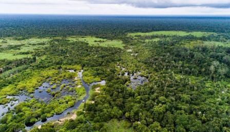Tentang Agrosilvofishery, Pemanfaatan Lahan yang Lebih Ramah&nbsp;Lingkungan
