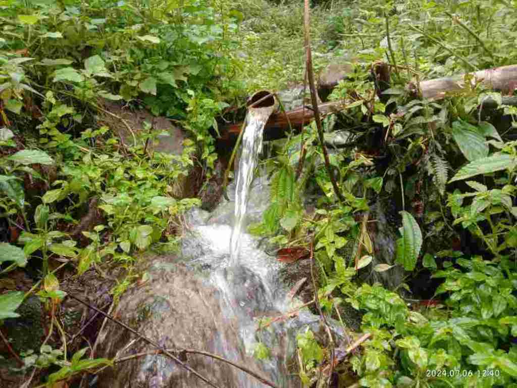 Erembua’, Muncul Sekali Setahun dan Jadi Penanda&nbsp;Musim