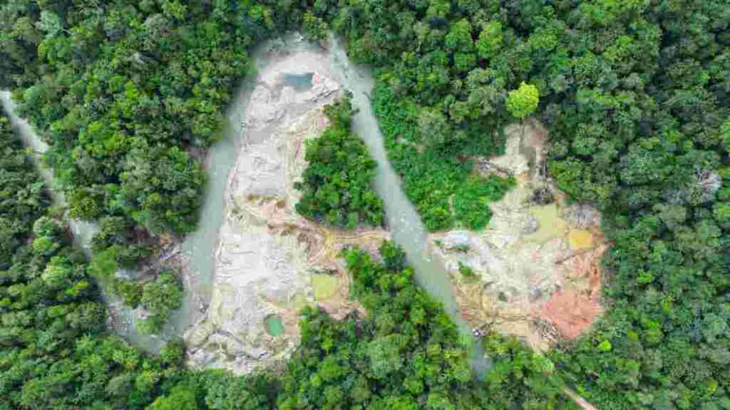 Gakkum KLHK Serahkan Tersangka PETI dan Barang Bukti ke Kejari&nbsp;Tolitoli