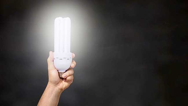 Cahaya Buatan di Garis Pantai Berpotensi Jadi Senjata Kehancuran bagi Ikan&nbsp;Kecil