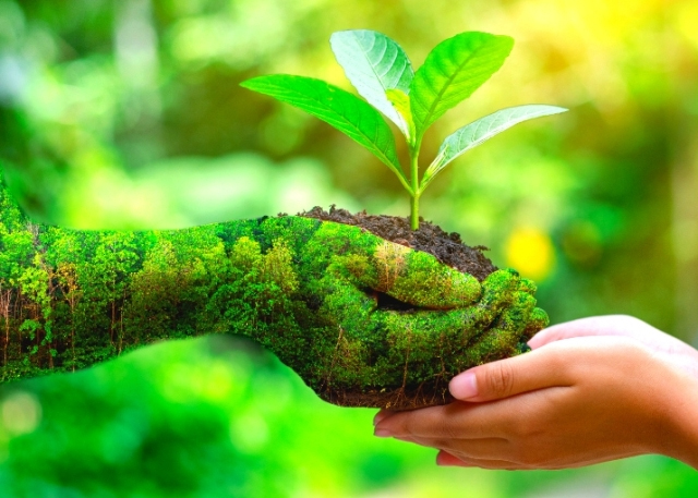 Mengenal 3 Pilar Utama Sustainability (Keberlanjutan)