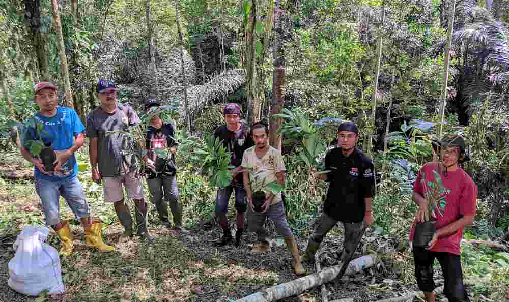 Dukung Pemulihan Ekosistem, DMT Tanam Pohon di Wilayah DAS&nbsp;Balantieng